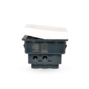 MODULO-2-INTERRUPTOR-BIPOLAR-PARALELO-20A