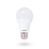 LAMPADA-LED-BULBO-6W-6500K-BRANCA