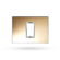 PLACA-4X2-1P-GOLD-REFLECTIVE-ARTEOR-571446-PIAL