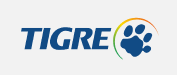 tigre